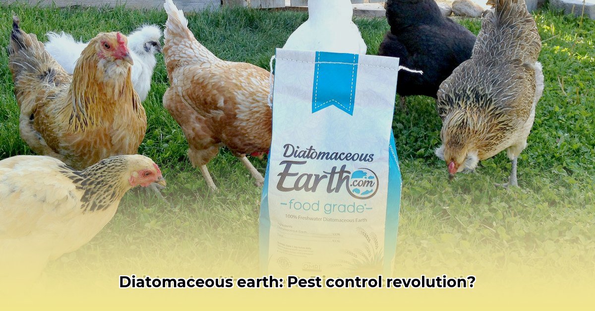 diatomaceous-earth-at-tractor-supply